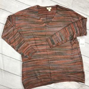 Woman’s V-Neck Light Weight Sweater